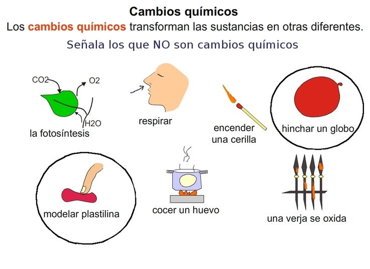 Cambios químicos